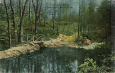 Stoneham,MA Lover's Bridge,Middlesex Falls Massachusetts Antique Postcard picture