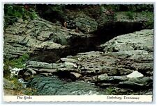 1987 The Sinks River View Gatlinburg, Knoxville Tennessee TN Vintage Postcard picture