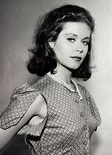 “Elizebeth Montgomery” 1960’s 5X7 B&W Glossy/Beautiful Actress “STUNNING”💋 picture