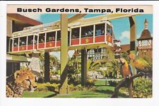 Busch Gardens Tampa FL Skyrail Safari Parrot Cheetah Swiss House Chrome Postcard picture