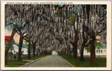 1950s BILOXI, Mississippi Postcard 