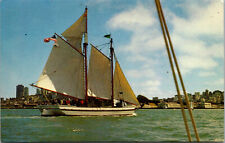 Vtg 1960s Alma Schooner Sailboat San Francisco Maritime State Park CA Postcard picture