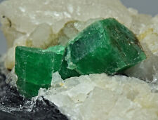Natural Green Color Emerald Crystals On Quartz Matrix 194 Gram picture