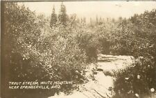 1920s RPPC; Trout Stream, White Mountains near Springerville AZ Apache County picture