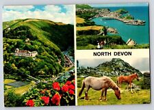 Postcard England North Devon Landscape and Horses  picture