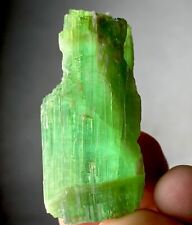 137 Carat Beautiful Green Tourmaline crystal  from Afghanistan picture