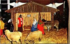 Live Nativity Pageant Trinity United Church Christ Saxton PA Postcard VTG UNP picture