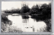 Postcard IN Gold Fish Pond Rome City Indiana UNP picture