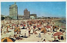 Long Beach Los Angeles County California Posted Swimming Chrome Vintage Postcard picture