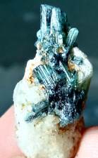 32 carat Beautiful Indicolite Tourmaline crystal Bunch specimen @ Afghanistan picture