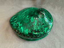 Polished Green Dyed Abalone Midas Seashell (Haliotis Midae) or Perlemoen picture