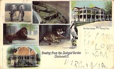 c.1904, PMC, Zoolical Garden, Cincinnati, OH, Tiger, Lion, Zebra, Old Postcard picture