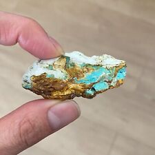 ROYSTON TURQUOISE w/ Matrix self-mined from Tonopah, Nevada (Otteson's Mine #8) picture