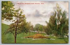 View In Marquette Park Petosky MI C1909 DB Postcard N6 picture