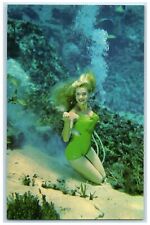 c1960's Florida's World Famous Weeki Wachee Springs Florida FL Unposted Postcard picture