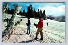 Olympic National Park, Winter Scene At Hurricane Ridge, Antique Vintage Postcard picture