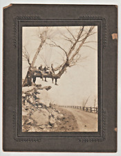 Lg Antique Photo Cliff Road, Lake Mohonk, N.Y.; THE FOOTMEN Unique Americana picture