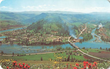 Postcard Air View Bridge Clearwater River Kooskia Idaho picture