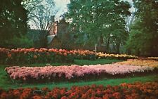 Postcard OH Akron Ohio Stan Hywet Hall Chrysanthemum Display Vintage PC J9392 picture