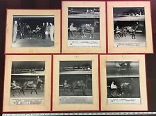 6 Matted Photos Harness Horse Racing Rockingham Park New Hampshire 1958     picture