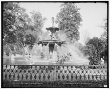 Fountain in Forsyth Park, Savannah, Georgia c1900 OLD PHOTO picture