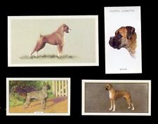 BOXER GERMAN DOG VINTAGE TRADE & CIGARETTE CARDS - X 4 all original picture