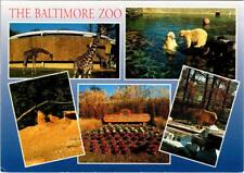 Baltimore, MD Maryland BALTIMORE ZOO Giraffes~Polar Bears~Elephant 4X6 Postcard picture