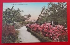 Pinehurst, NC A Walk Country Road Colored DB UP 1927 North Carolina Postcard B19 picture