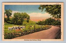 Fairbury IL-Illinois, Scenic Greetings, Cows Grazing, Vintage Postcard picture