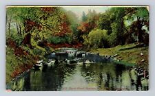 Rochester NY- New York, Duck Pond, Genesse Valley, Vintage c1908 Postcard picture