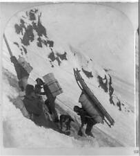 Miners bound for Klondike Gold Fields,Summit of Chilcoot Pass,Alaska,c1898 picture