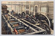 c1930s~Clewiston Florida FL~U.S. Sugar Corporation~Sugarcane Factory~Postcard picture