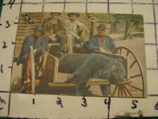 vintage original Post Card -- wagon 4 men & bear -- MAINE -- sent 1911 picture