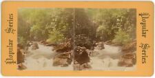 c1900's Real Photo Hand Tinted Stereoview Dargle Glen, Wicklow Ireland picture