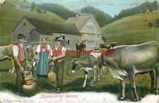 Native Ethnic Culture Costume, Appenzeller Sennen, Cows, Switzerland picture