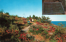Ogunquit ME Maine, Famous Marginal Way View & Plaque Close Up, Vintage Postcard picture