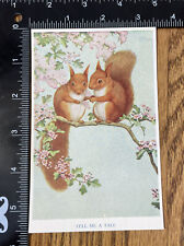 Medici Postcard Pk 268 Noel Hopking Tell Me A Tale Squirrels Flowers Blossoms￼ picture
