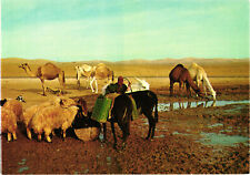 Judean Desert Near the Well in the Desert Postcard Unposted Star Cards picture