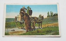 antique  Postcard,  feeding a wild bear, Yellowstone National Park, posted 1929 picture