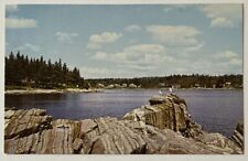 View of Summer Resort Chamberlain Maine ME 1960s Postcard picture