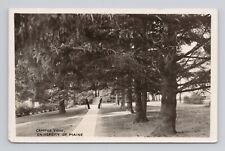 Postcard RPPC Campus View University of Maine Tree lined Path Students picture