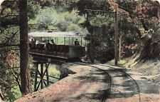 Los Angeles Mt Lowe CA Railroad Train Hotel Resort Alpine Tavern Vtg Postcard E9 picture