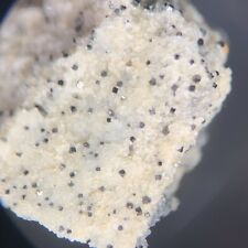 Magnetite Crystal Micro Partridge Island Nova Scotia CANADA picture