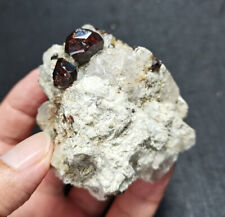 TOP 163.8 g Natural Garnet crystal specimen DD28 picture