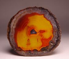 Chinese Fighting Blood Agate Half Nodule China picture