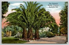 Redlands CA The Summit Smiley Heights California Postcard X22 picture