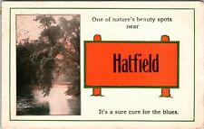 1913 Hatfield, PA. Pennant Postcard Beautiful Water Scene A Cure For The Blues picture