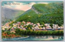 Tilbury Knob  Luzerne County Pennsylvania Near Plymouth PA c1930s Postcard N987 picture