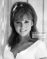 ACTRESS JOCELYN (JACKIE) LANE PIN UP - 8X10 PUBLICITY PHOTO (BB-952) picture