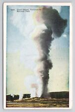Postcard Giant Geyser Yellowstone National Park 1956 picture